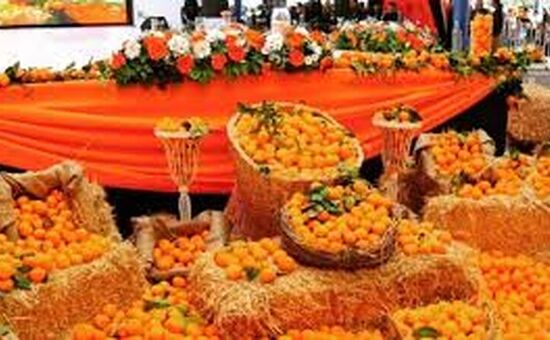 ADANA PORTAKAL ÇİÇEĞİ FESTİVALİ TURU 03-05 NİSAN 2026