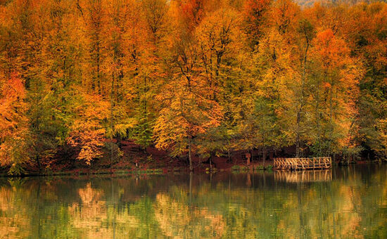 YEDİGÖLLER-ABANT-MUDURNU-GÖYNÜK-TARAKLI TURU 06-07 HAZİRAN 2026