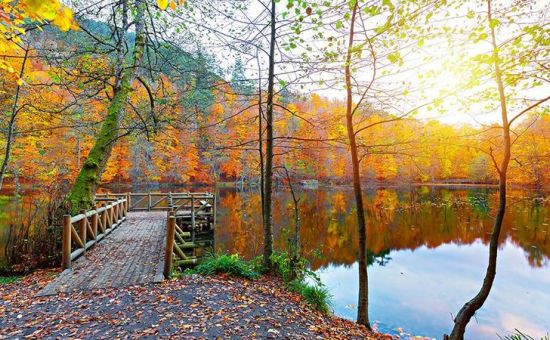 YEDİGÖLLER-ABANT-MUDURNU-GÖYNÜK-TARAKLI (06-07 HAZİRAN 2026)