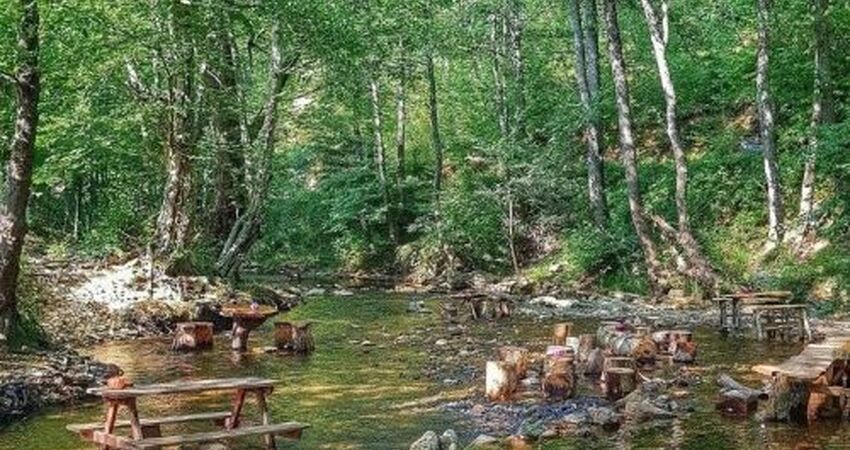 GÜNÜBİRLİK DUPNİSA İĞNEADA LONGOZ ORMANLARI TURU 2 AĞUSTOS 2025