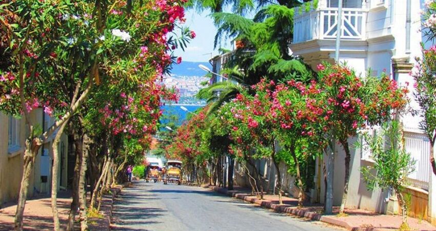 GÜNÜBİRLİK ÖZEL TEKNE İLE İSTANBUL ADALAR  (BÜYÜKADA-HEYBELİADA) VE EMİNÖNÜ TURU 07 EYLÜL 2025