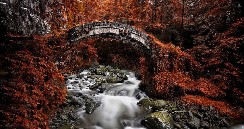 YEDİGÖLLER-ABANT-MUDURNU-GÖYNÜK-TARAKLI TURU 25-26 EKİM 2025