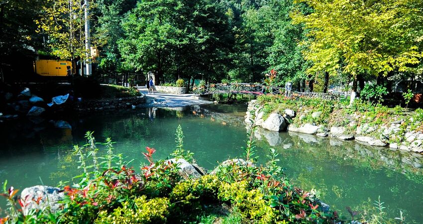 GÜNÜBİRLİK ABANT-MAŞUKİYE ve SAPANCA TURU 11 OCAK 2026