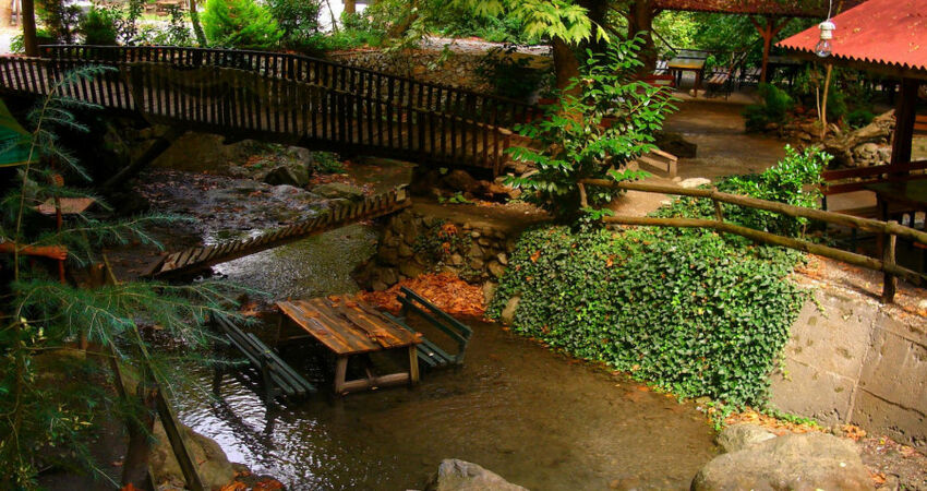 GÜNÜBİRLİK ABANT-MAŞUKİYE ve SAPANCA TURU 31 OCAK 2026