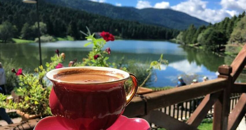 GÜNÜBİRLİK ABANT-MAŞUKİYE ve SAPANCA TURU 24 OCAK 2026