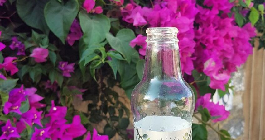 SEVGİLİLER GÜNÜNE ÖZEL DATÇA BADEM ÇİÇEĞİ FESTİVALİ TURU 13-15 ŞUBAT 2026