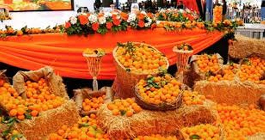 ADANA PORTAKAL ÇİÇEĞİ FESTİVALİ TURU 03-05 NİSAN 2026