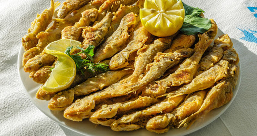 SAFRANBOLU VE AMASRA TURLARI 2026