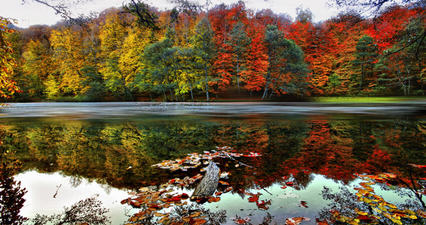 YEDİGÖLLER-ABANT-MUDURNU-GÖYNÜK-TARAKLI TURU 25-26 NİSAN 2026