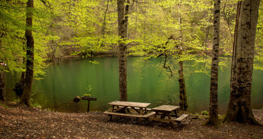 YEDİGÖLLER-ABANT-MUDURNU-GÖYNÜK-TARAKLI TURU 25-26 NİSAN 2026