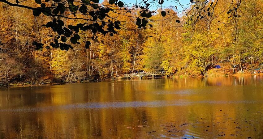 YEDİGÖLLER-ABANT-MUDURNU-GÖYNÜK-TARAKLI TURU 25-26 NİSAN 2026