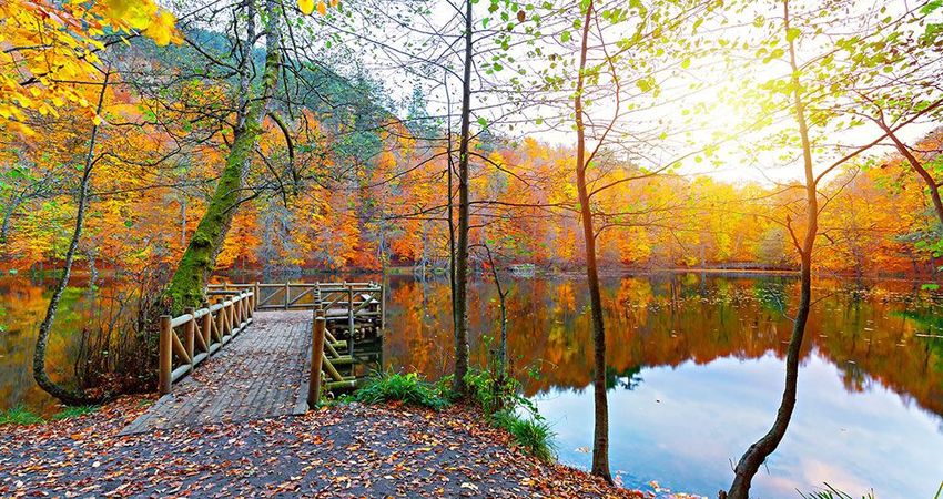 YEDİGÖLLER-ABANT-MUDURNU-GÖYNÜK-TARAKLI TURU 25-26 NİSAN 2026