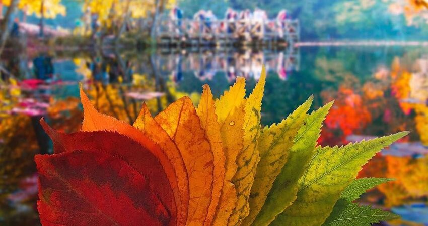 YEDİGÖLLER-ABANT-MUDURNU-GÖYNÜK-TARAKLI TURU 25-26 NİSAN 2026