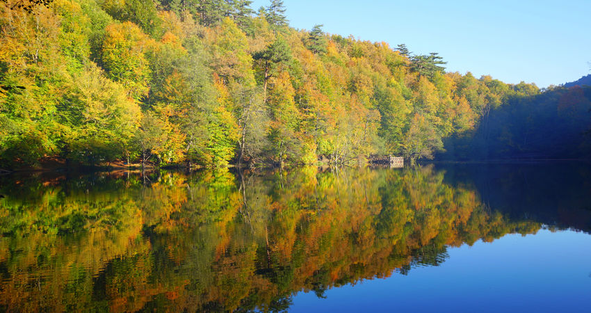 YEDİGÖLLER-ABANT-MUDURNU-GÖYNÜK-TARAKLI TURU 06-07 HAZİRAN 2026