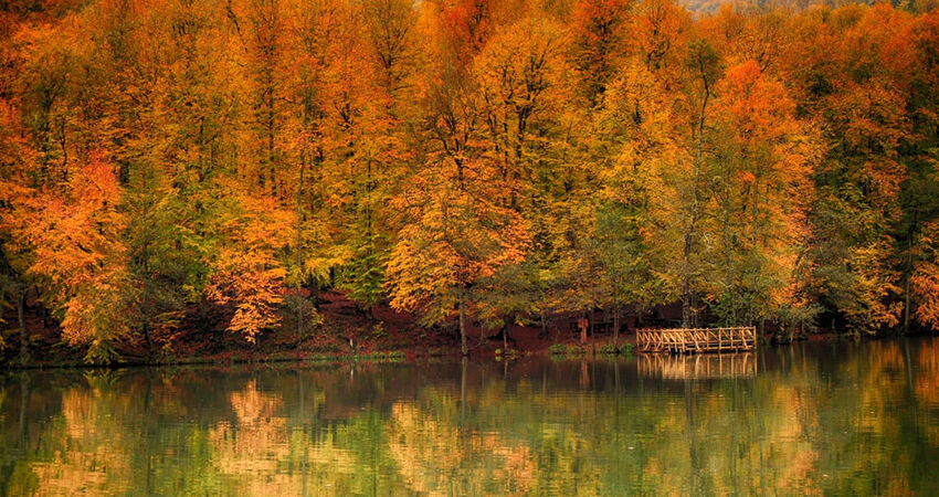 YEDİGÖLLER-ABANT-MUDURNU-GÖYNÜK-TARAKLI TURU 06-07 HAZİRAN 2026