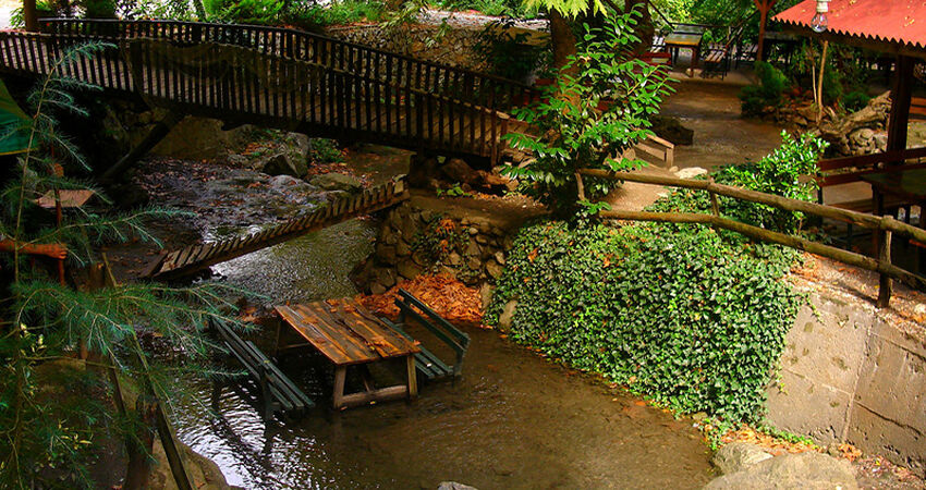 GÜNÜBİRLİK KARTEPE MAŞUKİYE VE ORMANYA 10 OCAK 2026