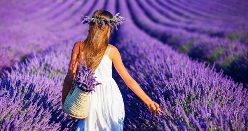 ISPARTA LAVANTA TARLALARI,SALDA GÖLÜ ve PAMUKKALE TURLARI 2026