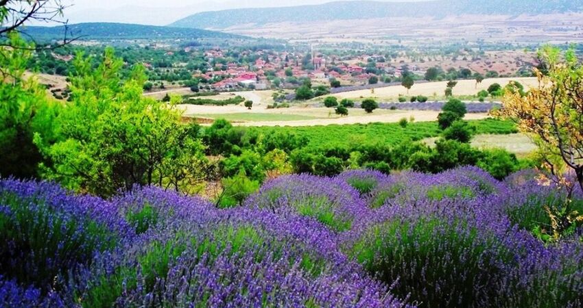ISPARTA LAVANTA TARLALARI,SALDA GÖLÜ ve PAMUKKALE TURLARI 2026