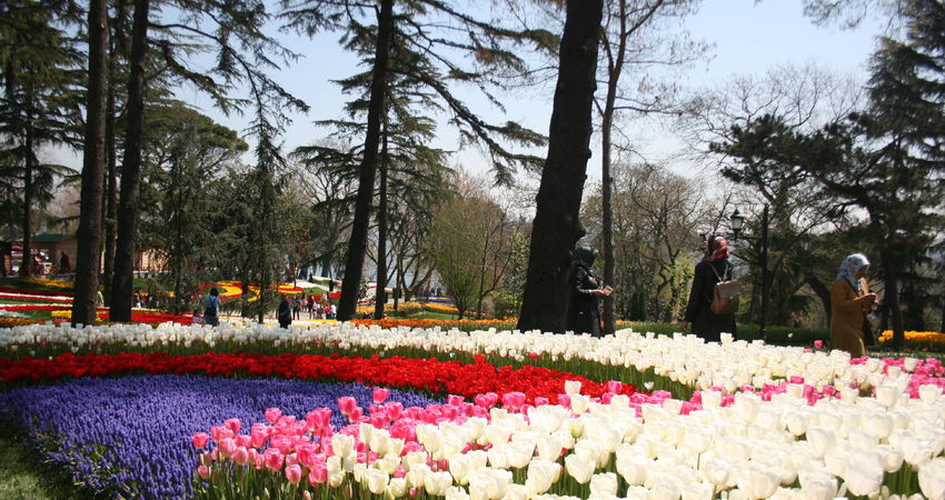 İSTANBUL EYÜPSULTAN,PİERRE LOTİ,ORTAKÖY ve LALE BAHÇELERİ TURLARI 2026
