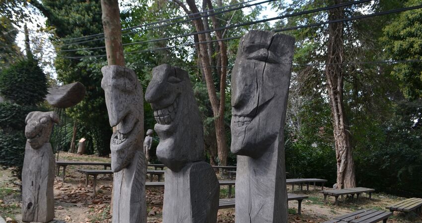 GÜNÜBİRLİK ŞİLE VE AĞVA TURLARI 2026