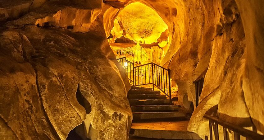 GÜNÜBİRLİK DUPNİSA İĞNEADA LONGOZ ORMANLARI TURLARI 2026