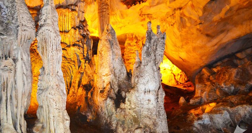 GÜNÜBİRLİK DUPNİSA İĞNEADA LONGOZ ORMANLARI TURLARI 2026