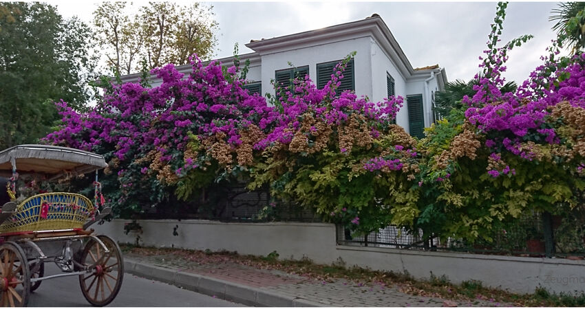 GÜNÜBİRLİK ÖZEL TEKNE İLE İSTANBUL ADALAR  (BÜYÜKADA-HEYBELİADA) VE EMİNÖNÜ TURLARI 2026