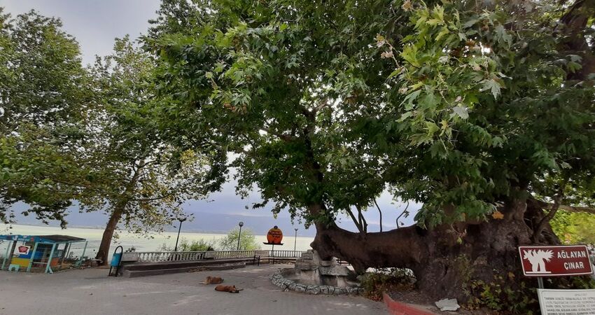 BURSA CUMALIKIZIK,GÖLYAZI,ULUBAT GÖLÜ,TRİLYE,MUDANYA TURU -9 AĞUSTOS 2026