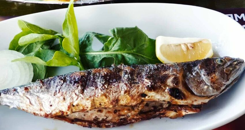 ŞİLE VE AĞVA TURU -14 HAZİRAN 2026