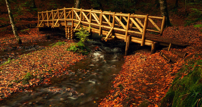 YEDİGÖLLER ABANT GÖYNÜK TARAKLI (06-07 HAZİRAN 2026)