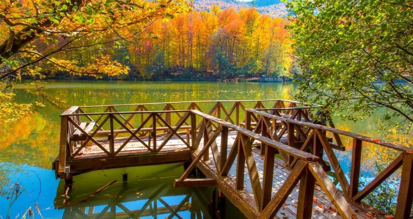 YEDİGÖLLER ABANT GÖYNÜK TARAKLI (06-07 HAZİRAN 2026)