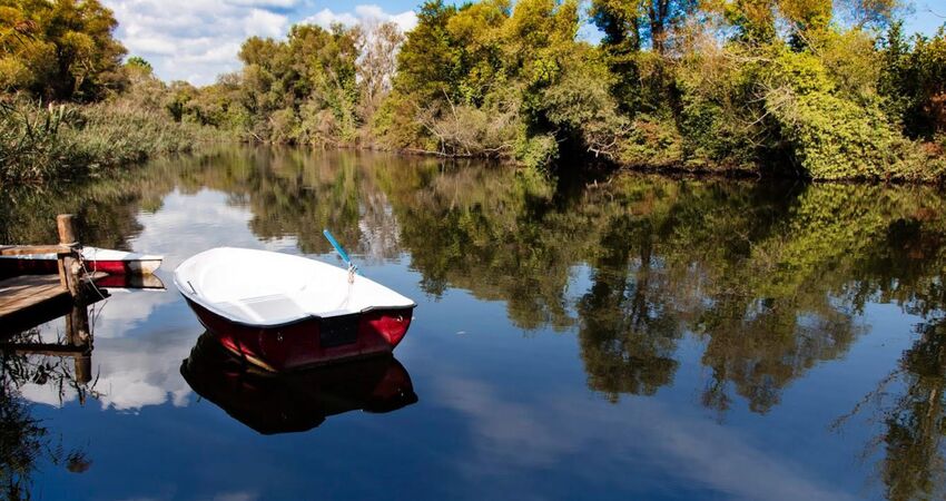 ŞİLE VE AĞVA TURU - 17 MAYIS 2026