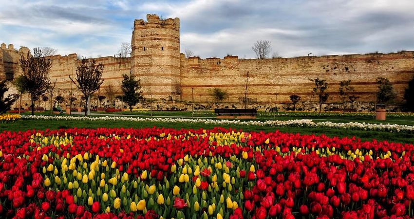 EMİRGAN LALE BAHÇELERİ-ORTAKÖY-EYÜP SULTAN-PİERRE LOTİ TURU 2 MAYIS 2026