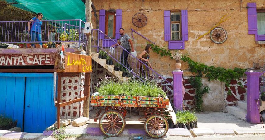 ISPARTA LAVANTA TARLALARI,SALDA GÖLÜ ve PAMUKKALE TURU 03-05 TEMMUZ 2026